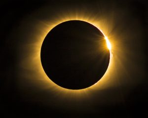 Capricorno Affinità Toro